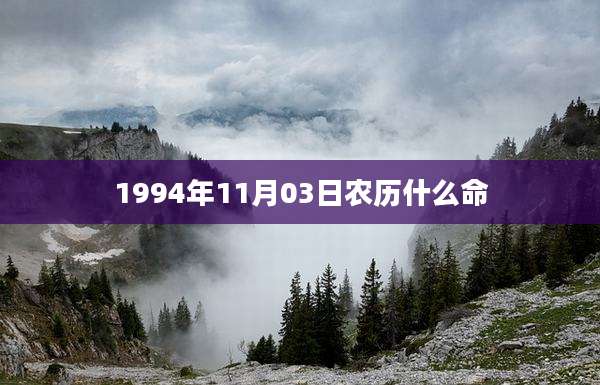 1994年11月03日农历什么命