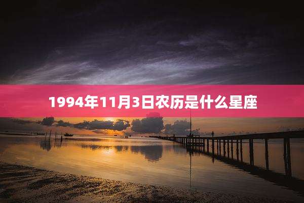 1994年11月3日农历是什么星座