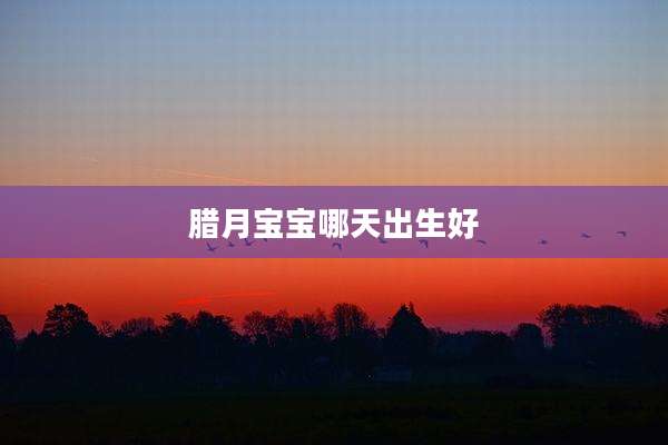 腊月宝宝哪天出生好