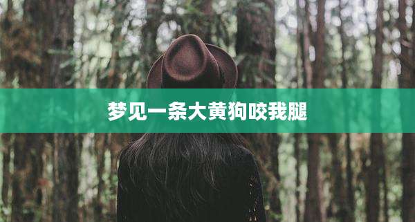 梦见一条大黄狗咬我腿