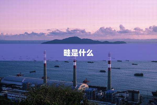 畦是什么