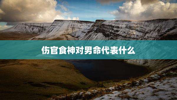 伤官食神对男命代表什么