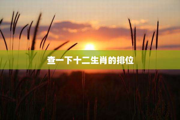 查一下十二生肖的排位