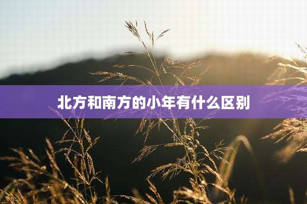 北方和南方的小年有什么区别