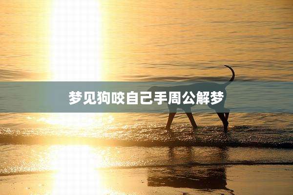 梦见狗咬自己手周公解梦