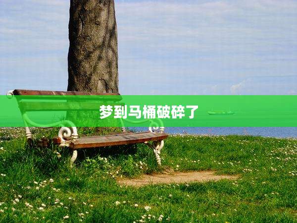 梦到马桶破碎了