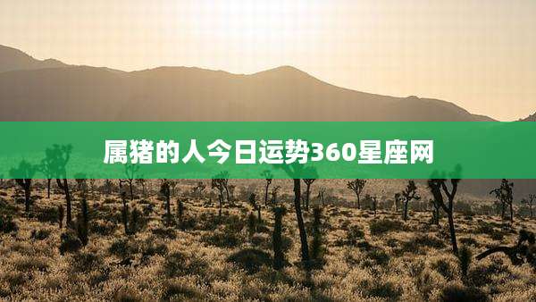 属猪的人今日运势360星座网