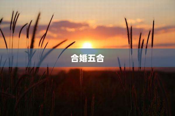 合婚五合