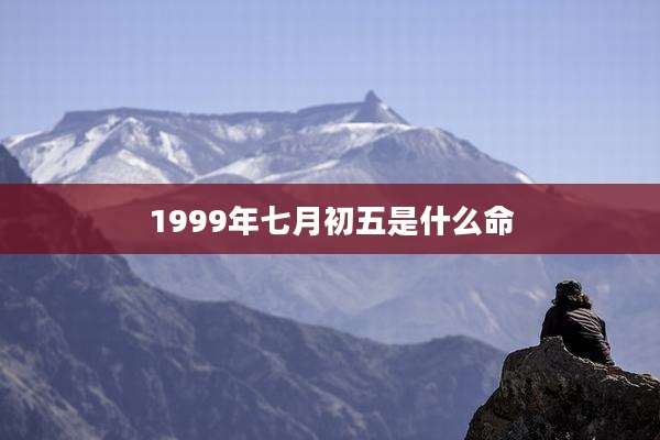 1999年七月初五是什么命