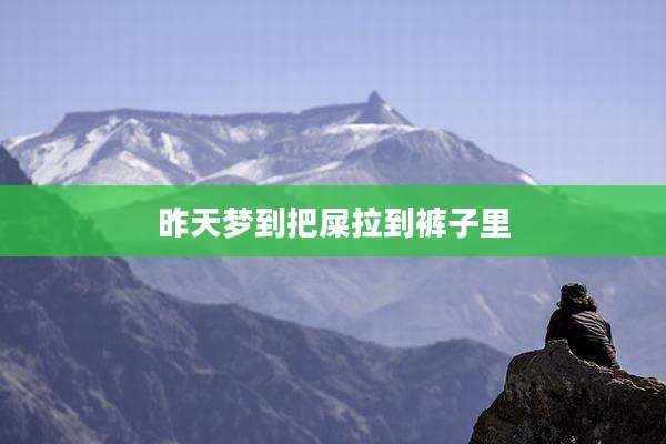 昨天梦到把屎拉到裤子里