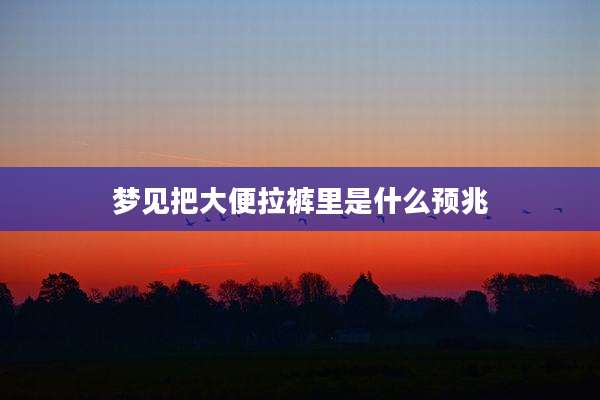 梦见把大便拉裤里是什么预兆