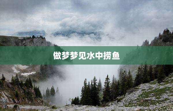 做梦梦见水中捞鱼