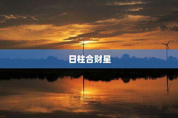 日柱合财星