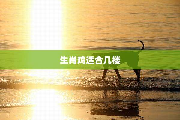 生肖鸡适合几楼