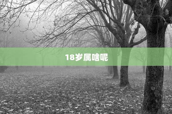 18岁属啥呢