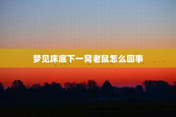 梦见床底下一窝老鼠怎么回事