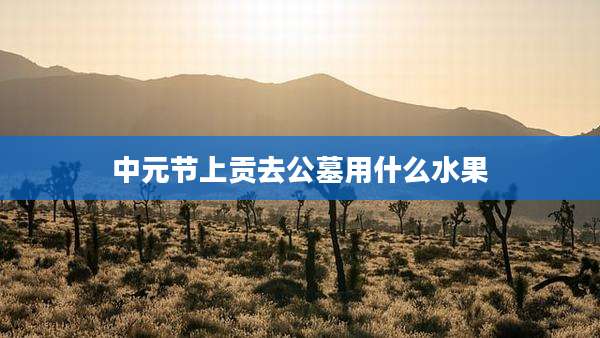 中元节上贡去公墓用什么水果
