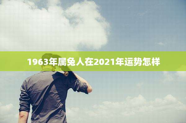 1963年属兔人在2021年运势怎样