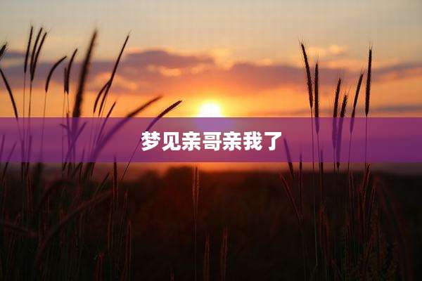 梦见亲哥亲我了