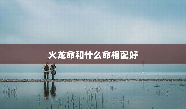 火龙命和什么命相配好