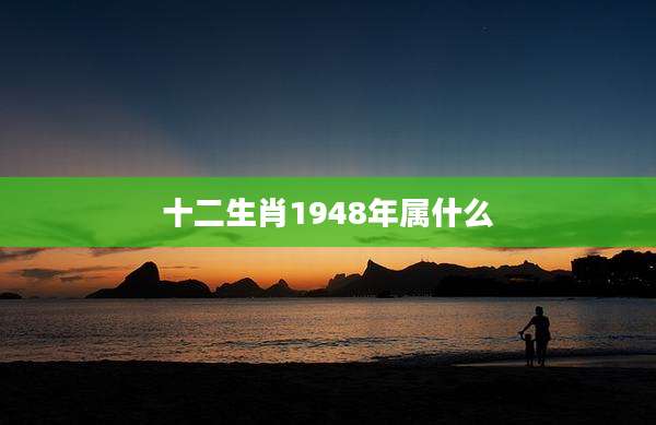 十二生肖1948年属什么