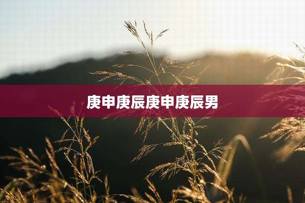 庚申庚辰庚申庚辰男