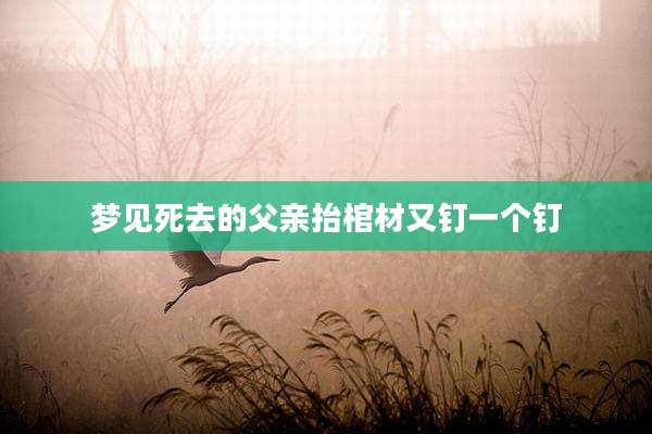 梦见死去的父亲抬棺材又钉一个钉