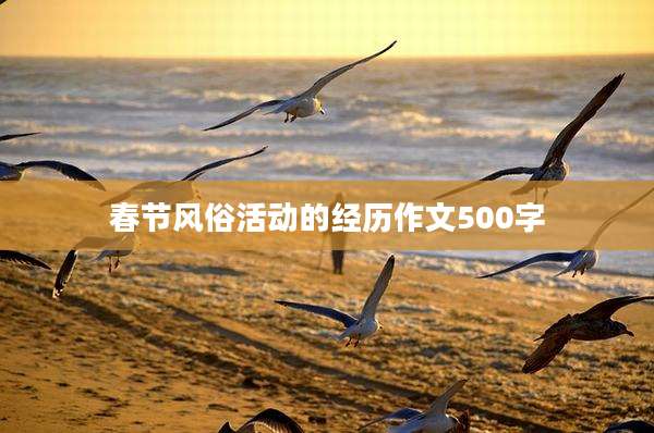 春节风俗活动的经历作文500字