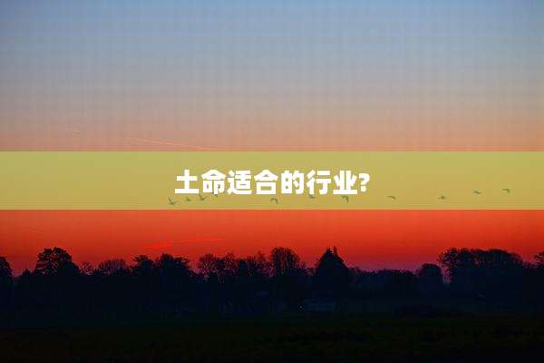 土命适合的行业?