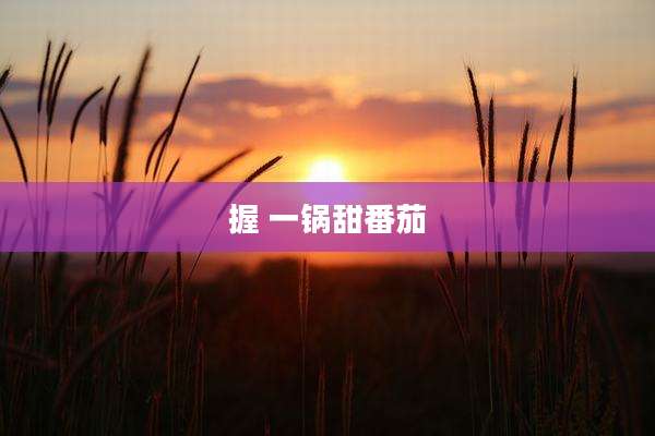 握 一锅甜番茄