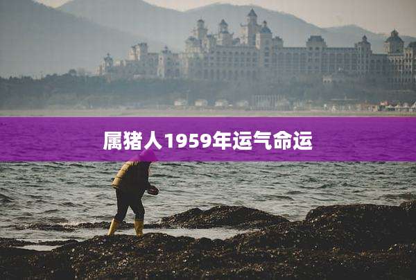 属猪人1959年运气命运