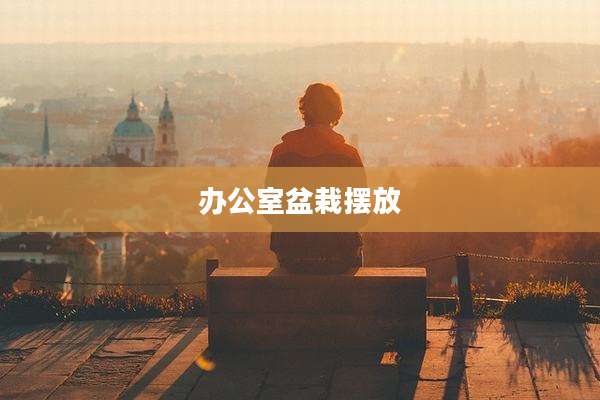 办公室盆栽摆放