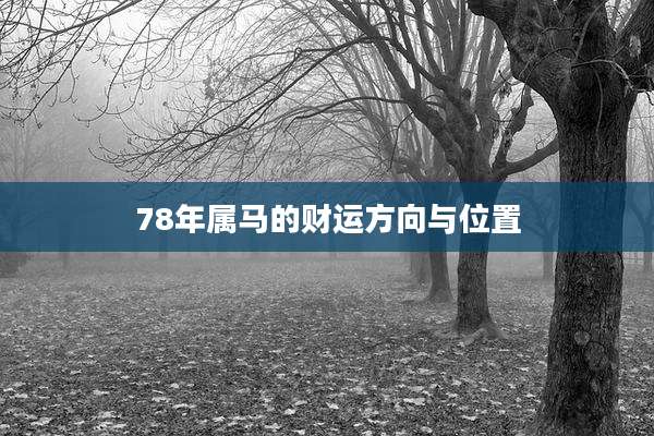 78年属马的财运方向与位置