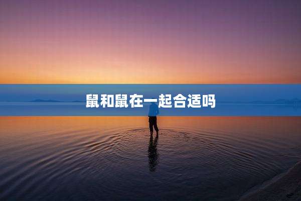 鼠和鼠在一起合适吗