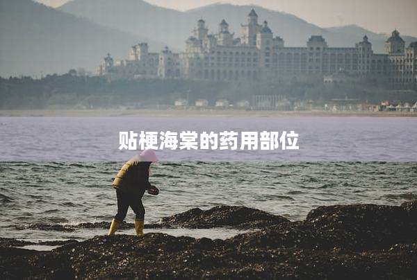 贴梗海棠的药用部位