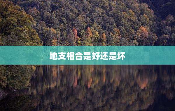 地支相合是好还是坏