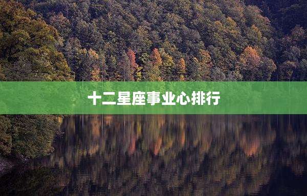 十二星座事业心排行