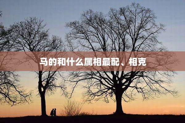 马的和什么属相最配、相克