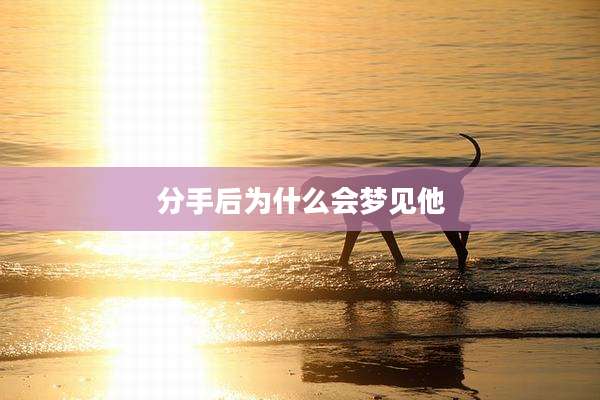 分手后为什么会梦见他