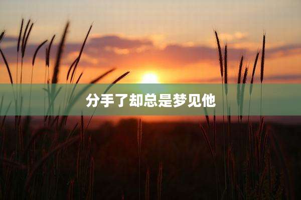 分手了却总是梦见他