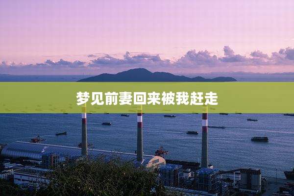 梦见前妻回来被我赶走