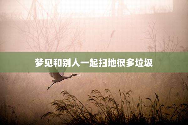 梦见和别人一起扫地很多垃圾