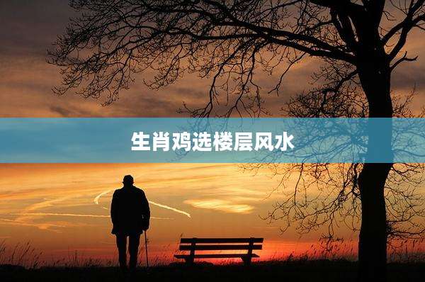 生肖鸡选楼层风水