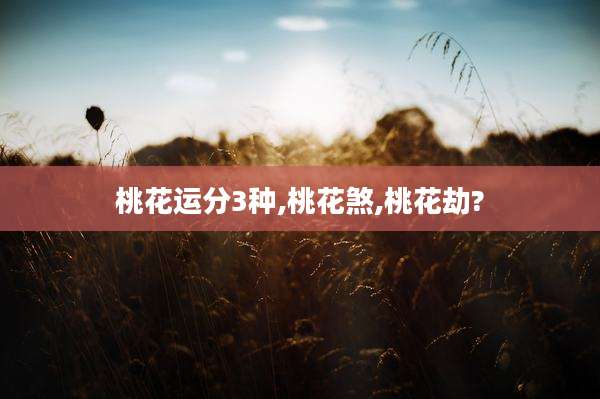桃花运分3种,桃花煞,桃花劫?