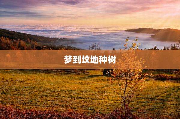 梦到坟地种树