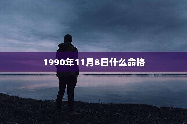1990年11月8日什么命格