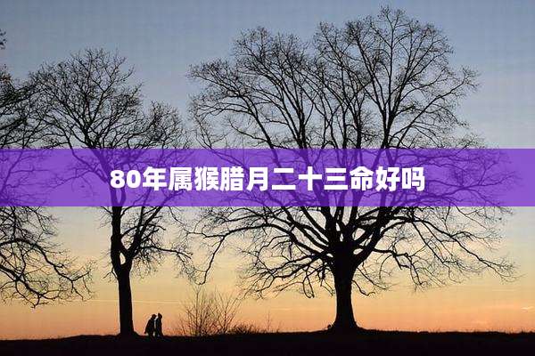 80年属猴腊月二十三命好吗