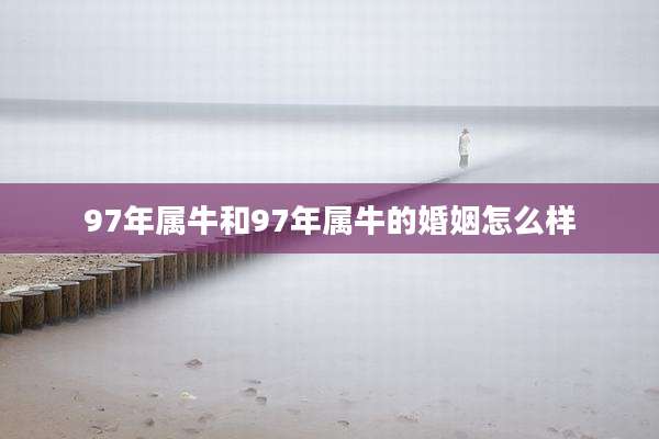 97年属牛和97年属牛的婚姻怎么样