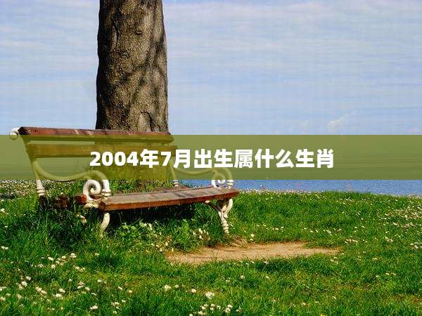 2004年7月出生属什么生肖