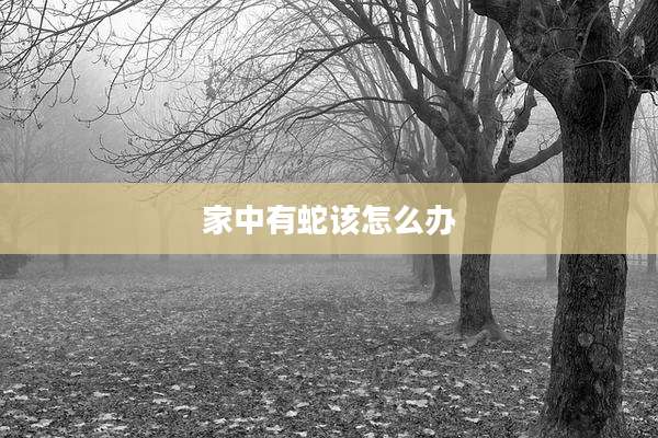 家中有蛇该怎么办